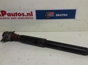 Shock Absorber AUDI A3 (8P1), AUDI A3 Sportback (8PA)