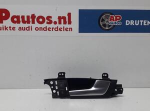 Grab Handle AUDI A3 (8P1), AUDI A3 Sportback (8PA)