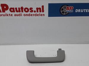 Grab Handle AUDI Q5 (8RB), AUDI Q5 Van (8RB)