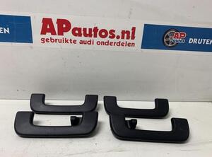 Grab Handle AUDI A3 Sportback (8VA, 8VF)