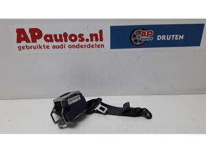 Safety Belts AUDI TT (8J3)