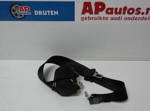 Safety Belts AUDI Q5 (8RB), AUDI Q5 Van (8RB)