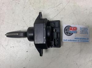 Ignition Lock Cylinder AUDI A6 Avant (4F5, C6), AUDI A6 Allroad (4FH, C6)