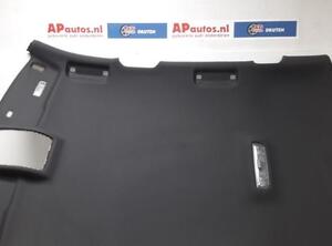 Front Interior Roof Trim Panel AUDI A3 (8P1), AUDI A3 Sportback (8PA)