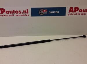 Gas Spring AUDI A3 (8P1), AUDI A3 Sportback (8PA)