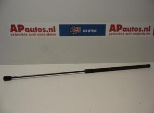 Gas Spring AUDI A4 (8K2, B8)