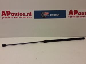 Gas Spring AUDI A6 (4F2, C6)