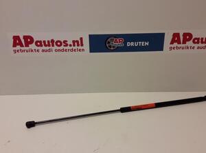 Gas Spring AUDI A4 Avant (8E5, B6)