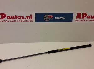 Gas Spring AUDI A4 (8E2, B6)