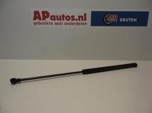 Gasdruckfeder Audi A3 8L 8L0823359 P1004464