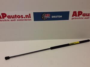 Gas Spring AUDI A4 Avant (8E5, B6)