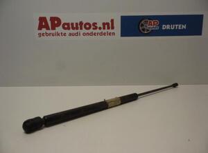 Gasdruckfeder Audi A3 8L 8L0823359 P4296066