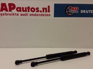 Gas Spring Engine Hood AUDI A1 (8X1, 8XK), AUDI A1 Sportback (8XA, 8XF)