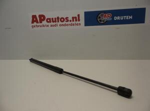 Bootlid (Tailgate) Gas Strut Spring AUDI A3 (8P1), AUDI A3 Sportback (8PA)