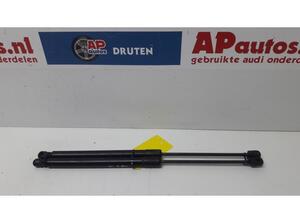 Bootlid (Tailgate) Gas Strut Spring AUDI Q5 (8RB), AUDI Q5 Van (8RB)