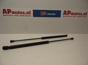 Bootlid (Tailgate) Gas Strut Spring AUDI A3 (8L1)