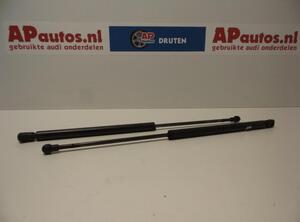 Bootlid (Tailgate) Gas Strut Spring AUDI A3 (8L1)