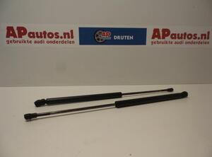 Bootlid (Tailgate) Gas Strut Spring AUDI A3 (8L1)