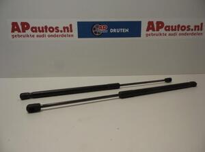 Bootlid (Tailgate) Gas Strut Spring AUDI A3 (8P1), AUDI A3 Sportback (8PA)