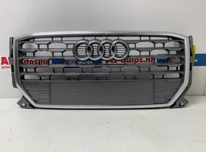 Radiateurgrille AUDI Q2 (GAB, GAG)