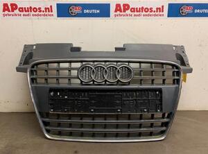 Radiator Grille AUDI TT (8J3)