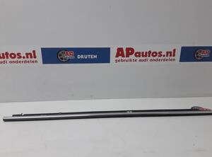 Trim Strip Door AUDI A6 Avant (4B5, C5)