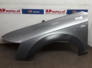 Wing AUDI A6 Allroad (4FH, C6), AUDI A6 Avant (4F5, C6)