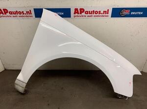 Spatbord AUDI A3 (8P1), AUDI A3 Sportback (8PA)