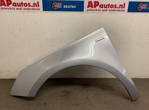 Spatbord AUDI A1 Sportback (8XA, 8XF), AUDI A1 (8X1, 8XK)