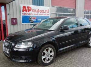 Deur AUDI A3 (8P1), AUDI A3 Sportback (8PA)