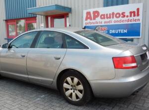 Deur AUDI A6 (4F2, C6)