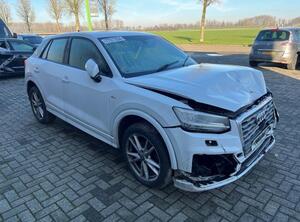 Door AUDI Q2 (GAB, GAG)