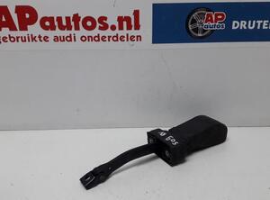 Door Check Strap AUDI A6 (4G2, 4GC, C7)