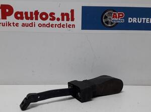 Door Check Strap AUDI A6 (4G2, 4GC, C7)