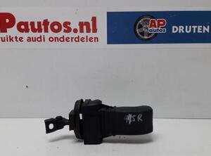 Door Check Strap AUDI A1 (8X1, 8XK), AUDI A1 Sportback (8XA, 8XF)