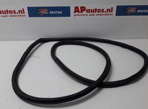 Door Seal AUDI Q7 (4LB), AUDI Q7 Van (4LB)