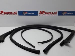 Door Seal AUDI A5 (8T3)