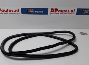 Door Seal AUDI Q5 (8RB), AUDI Q5 Van (8RB)