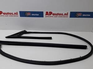 Door Seal AUDI A4 B7 Convertible (8HE)