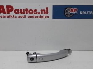 Door Handle AUDI Q5 (8RB), AUDI Q5 Van (8RB)