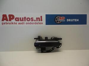 Door Handle AUDI A6 Avant (4F5, C6)