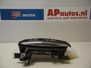 Türgriff links hinten Audi A6 4F, C6  P6273928