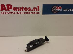 Injector Nozzle AUDI A8 (4E2, 4E8)