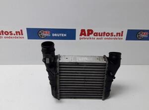 Intercooler AUDI A4 (8EC, B7)