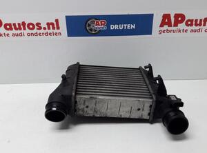 Intercooler AUDI A4 (8EC, B7)