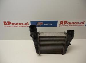 Intercooler AUDI A4 (8EC, B7)