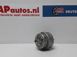 Lagerbok motorophanging AUDI A4 Avant (8E5, B6), AUDI A4 Avant (8ED, B7)