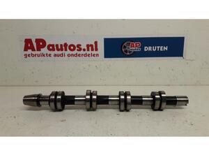 Camshaft AUDI A4 (8EC, B7)