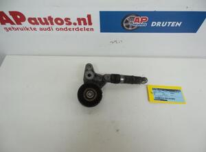 Repair Kit V Ribbed Belt Tensioner Lever AUDI A6 (4F2, C6)