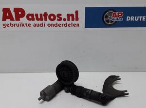 Repair Kit V Ribbed Belt Tensioner Lever AUDI A6 (4B2, C5)